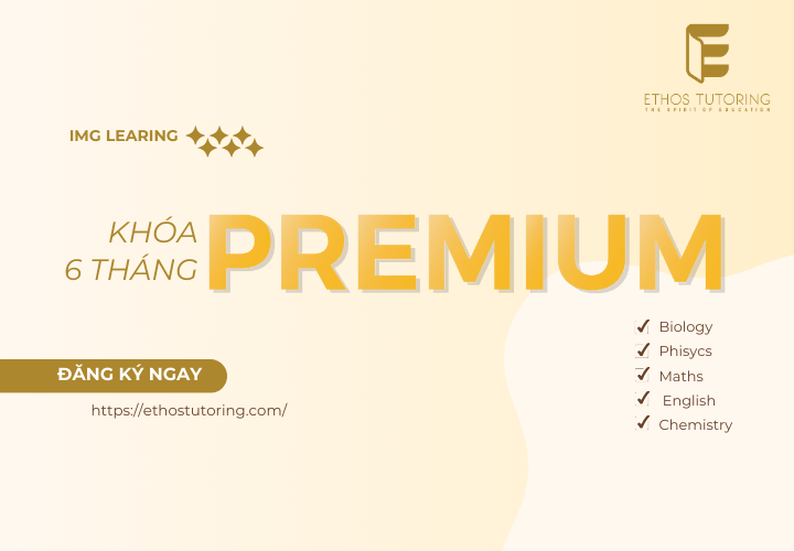 Khóa học 6 tháng Premium